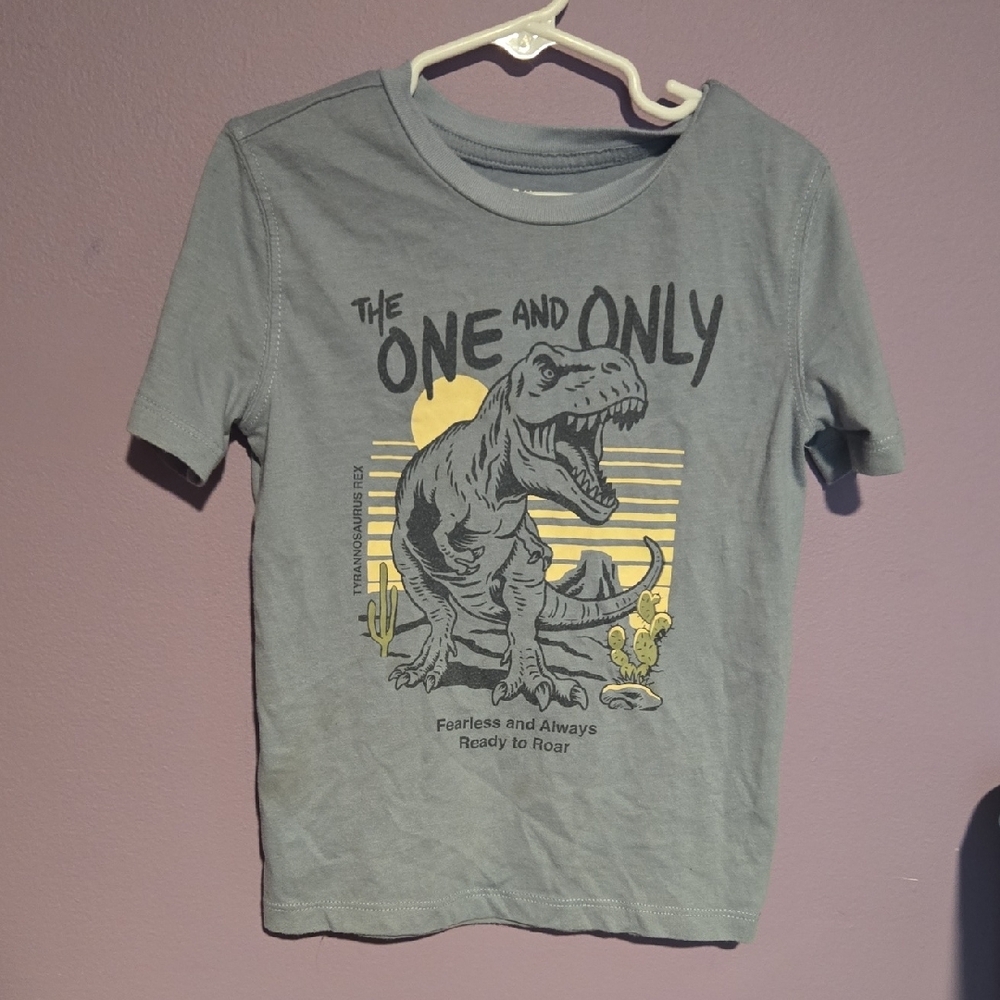 Gray Dinosaur Graphic Kids T-Shirt